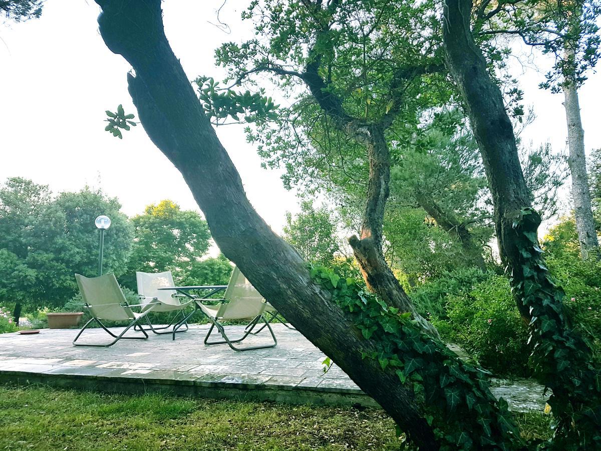 Villa Cenzina Selva Di Fasano Kültér fotó