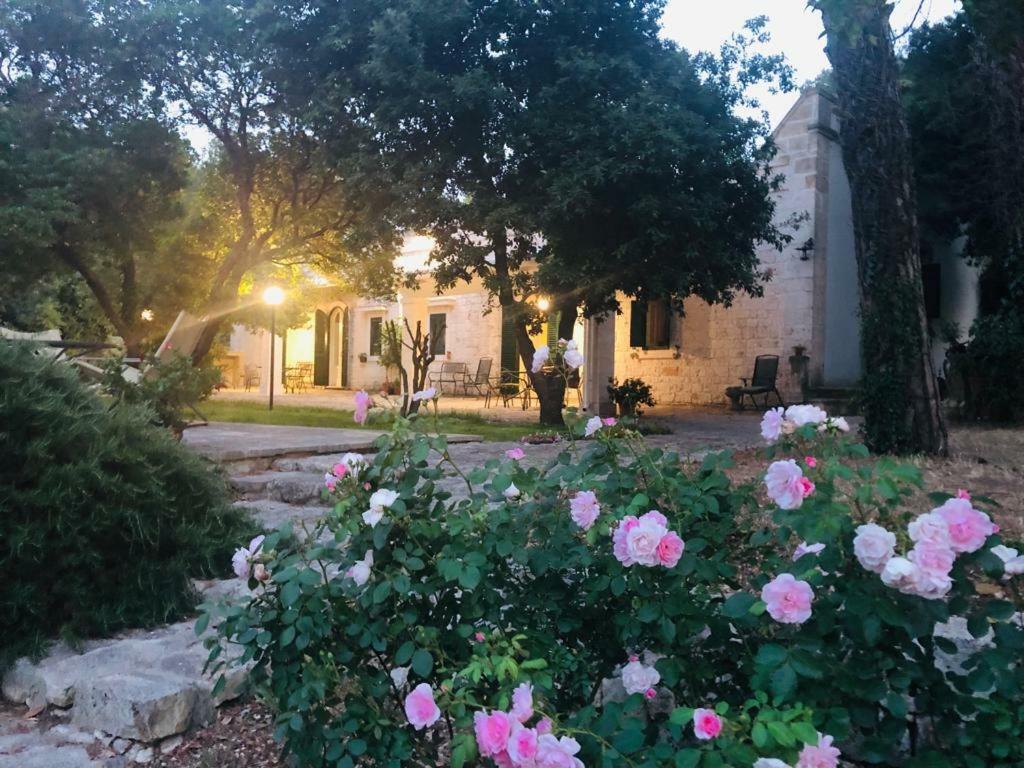 Villa Cenzina Selva Di Fasano Kültér fotó